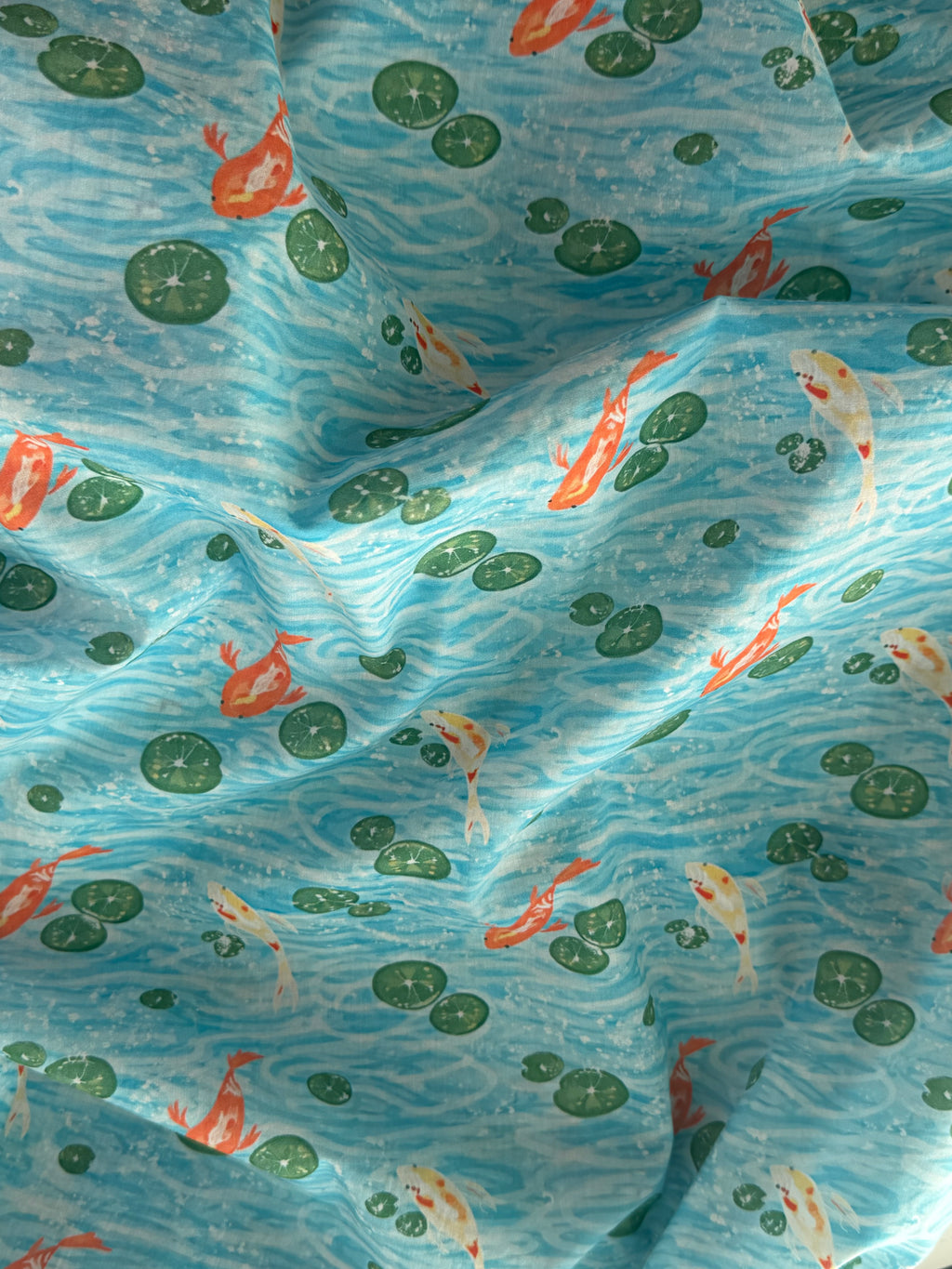 122 | koi  . ݁₊ ⊹🐠 🌊