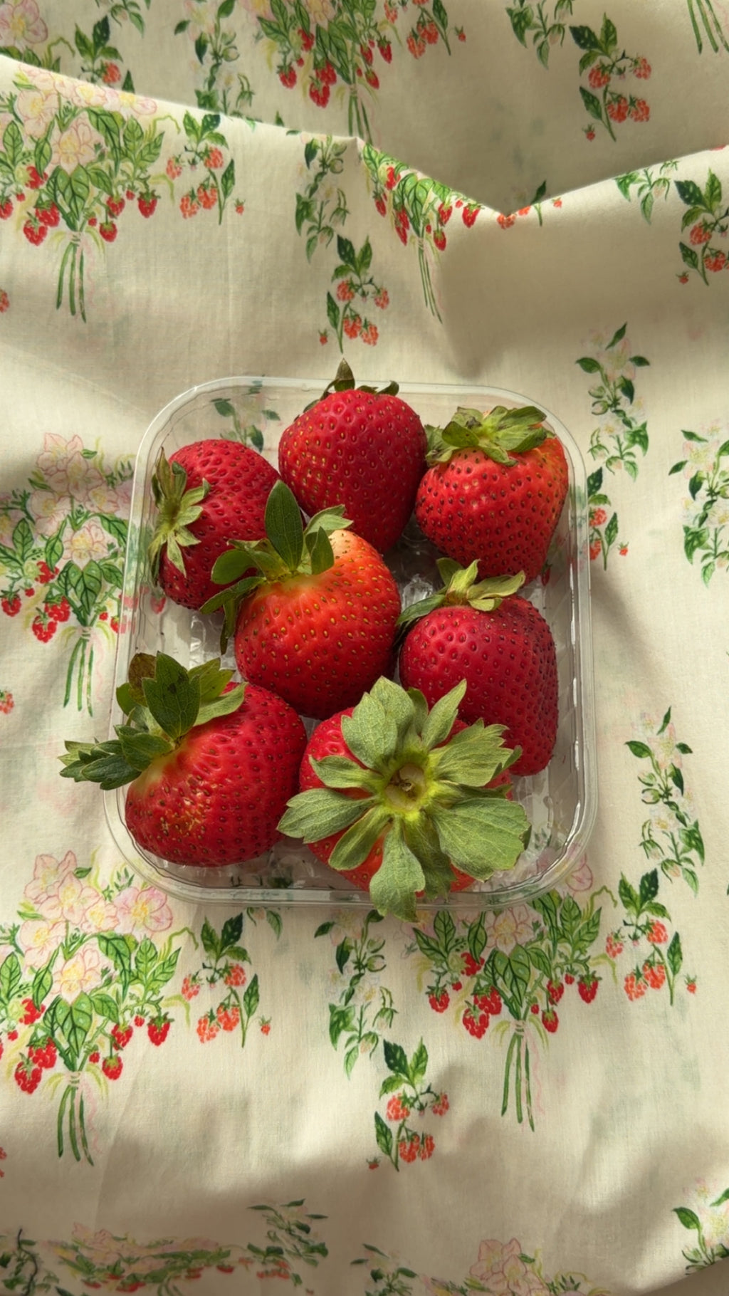 124 | earthberry 🍓🌱⋆ ˚｡⋆୨୧˚